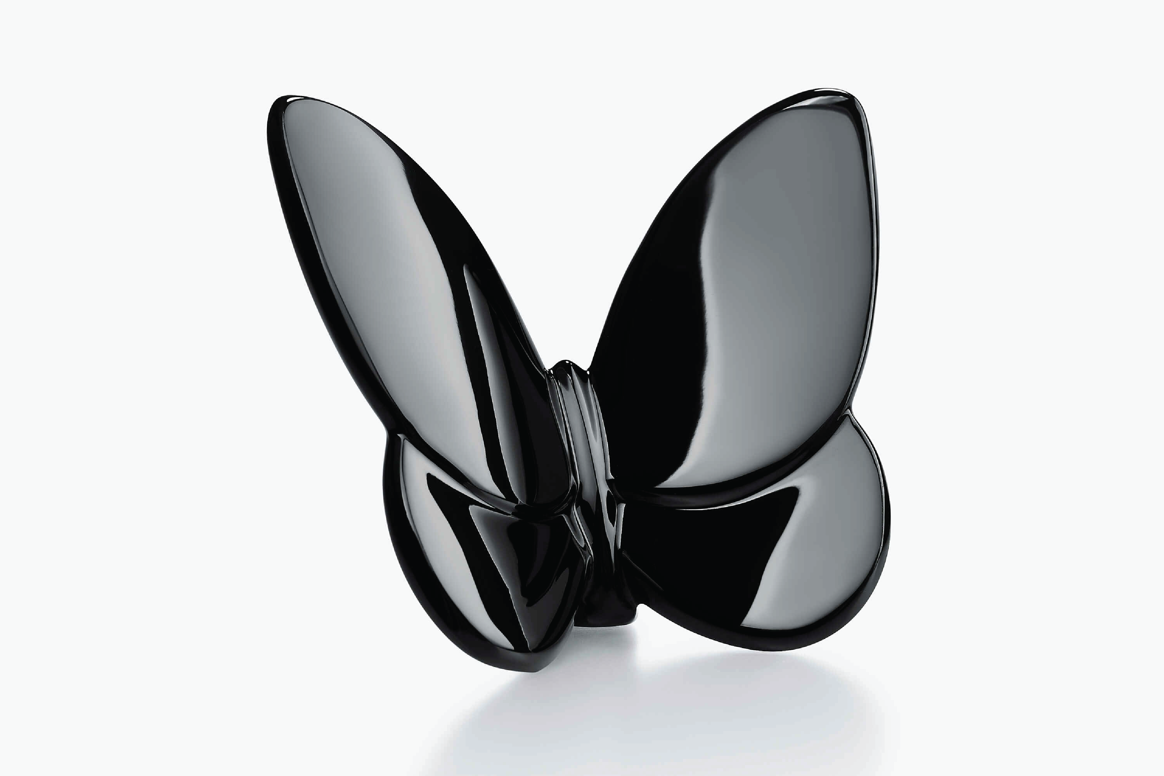 Lucky Butterfly - Black – Wynn at Home