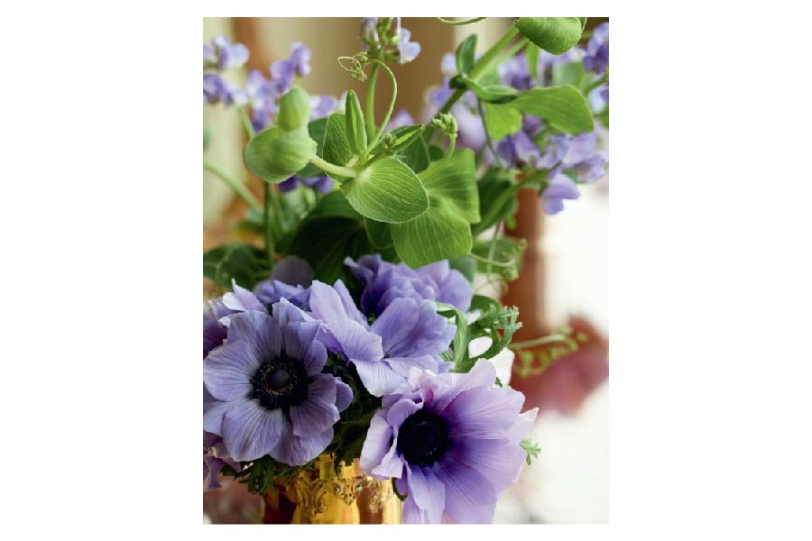 RIZZOLI Aerin Lauder: Living with Flowers – Wynn at Home