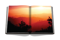 ASSOULINE Jamaica Vibes