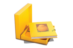 ASSOULINE Fernando Botero