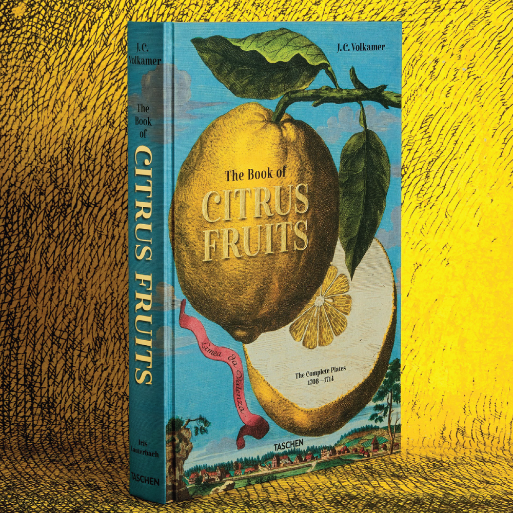 TASCHEN J. C. Volkamer. The Book of Citrus Fruits – Wynn at Home