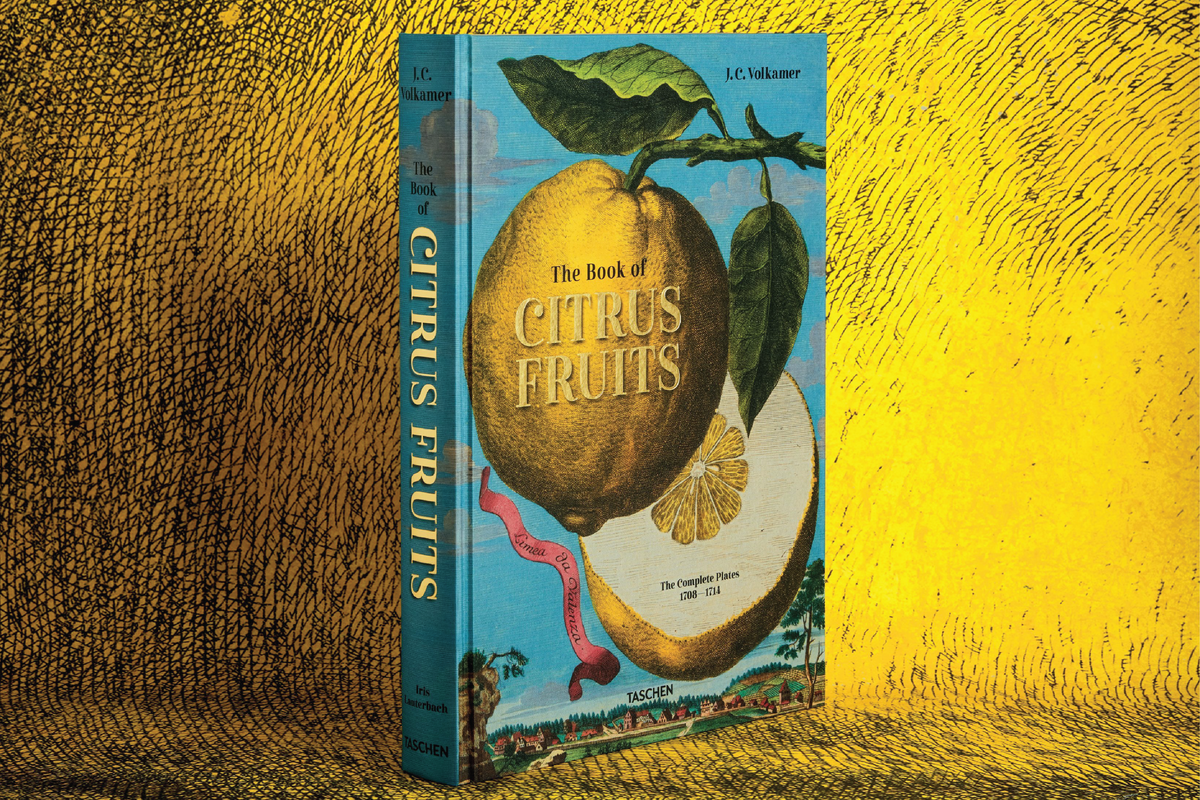 TASCHEN J. C. Volkamer. The Book of Citrus Fruits – Wynn at Home