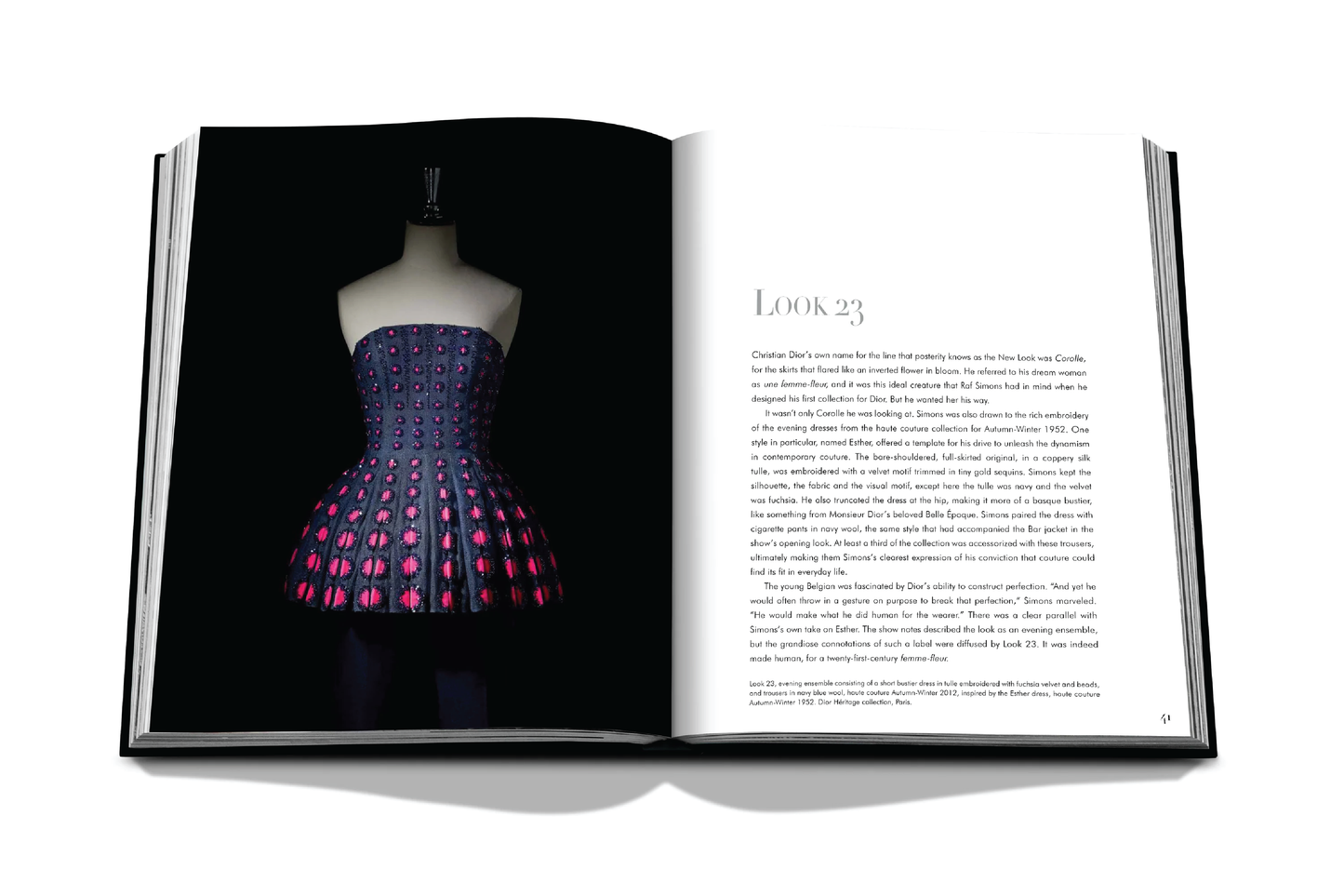 ASSOULINE Dior by Raf Simons Wynn at Home ASSOULINE Dior by Raf Simons Wynn at Home