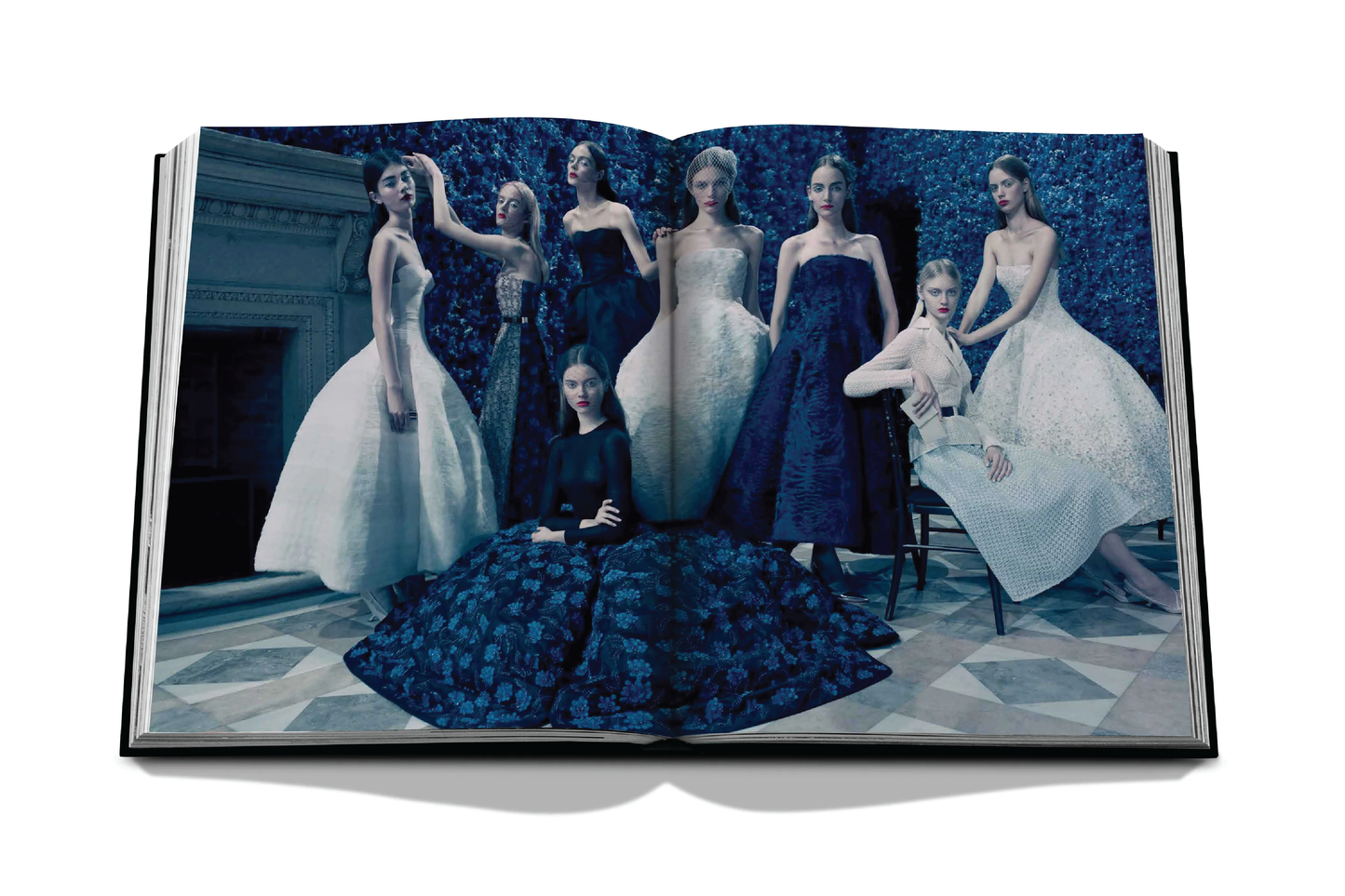 ASSOULINE Dior by Raf Simons Wynn at Home ASSOULINE Dior by Raf Simons Wynn at Home