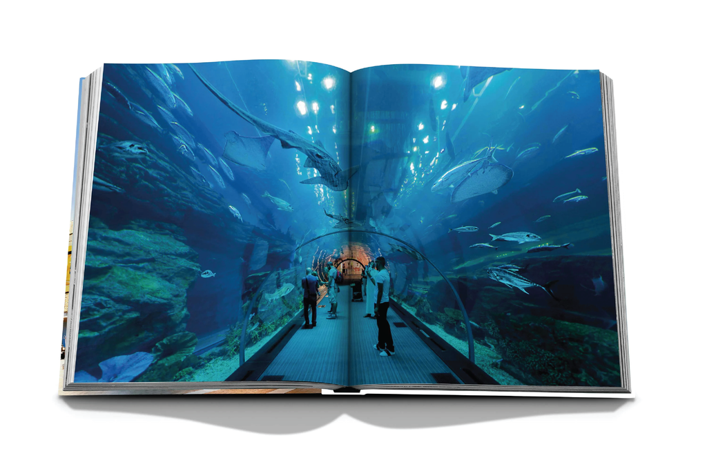 ASSOULINE Dubai Mall: A Mall Like No Other