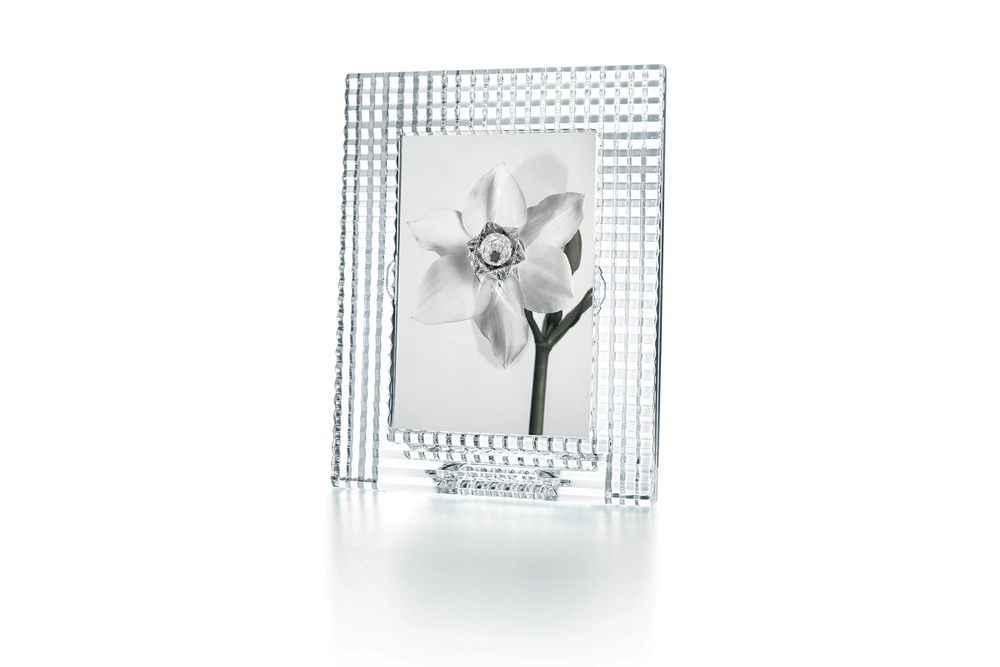 Eye Frame Clear – Wynn at Home