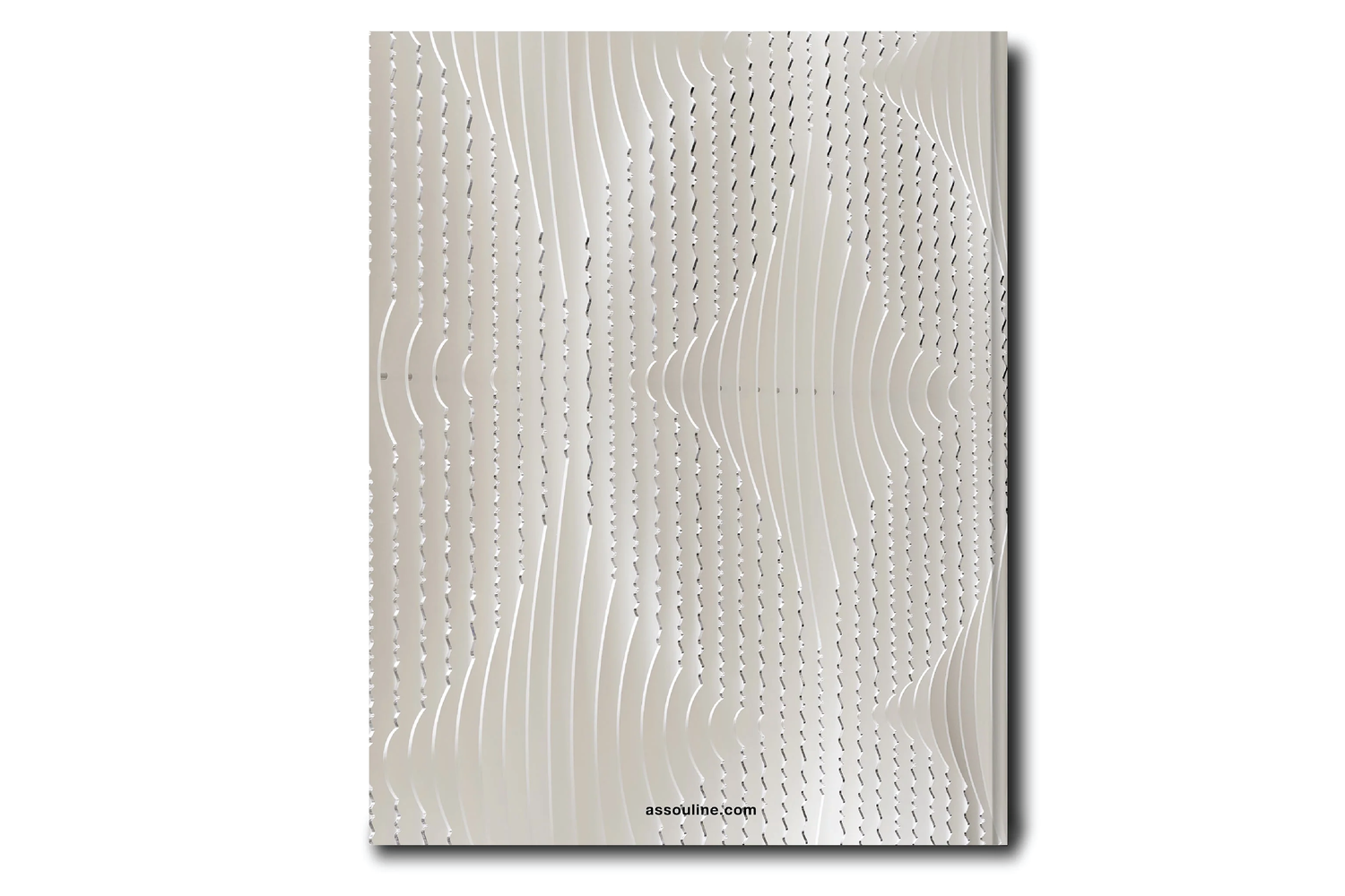 ASSOULINE Louis Vuitton Skin: Architecture of Luxury (New York City  Edition) Coffee Table Book – Cayman's