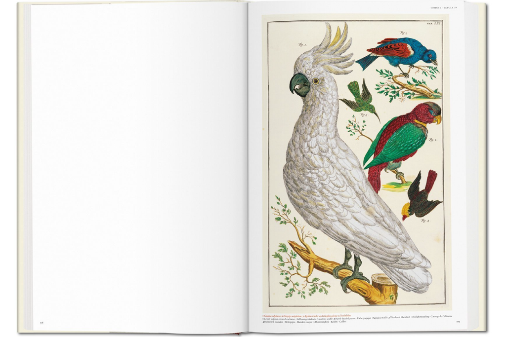 TASCHEN Seba. Cabinet of Natural Curiosities Book
