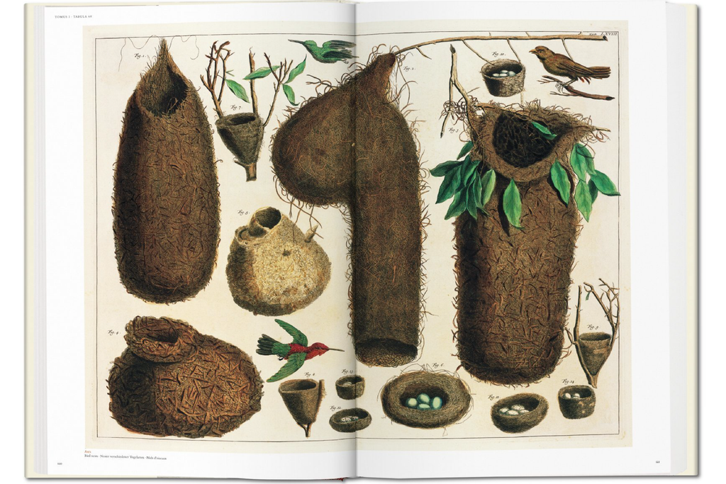 TASCHEN Seba. Cabinet of Natural Curiosities Book