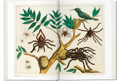 TASCHEN Seba. Cabinet of Natural Curiosities Book