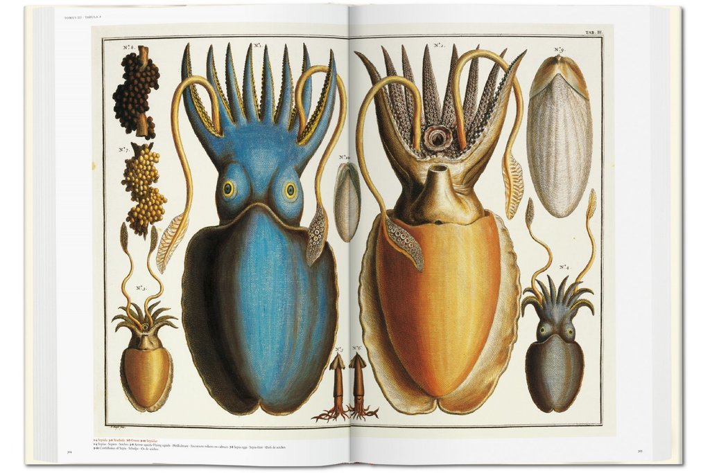 TASCHEN Seba. Cabinet of Natural Curiosities Book