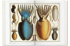 TASCHEN Seba. Cabinet of Natural Curiosities Book