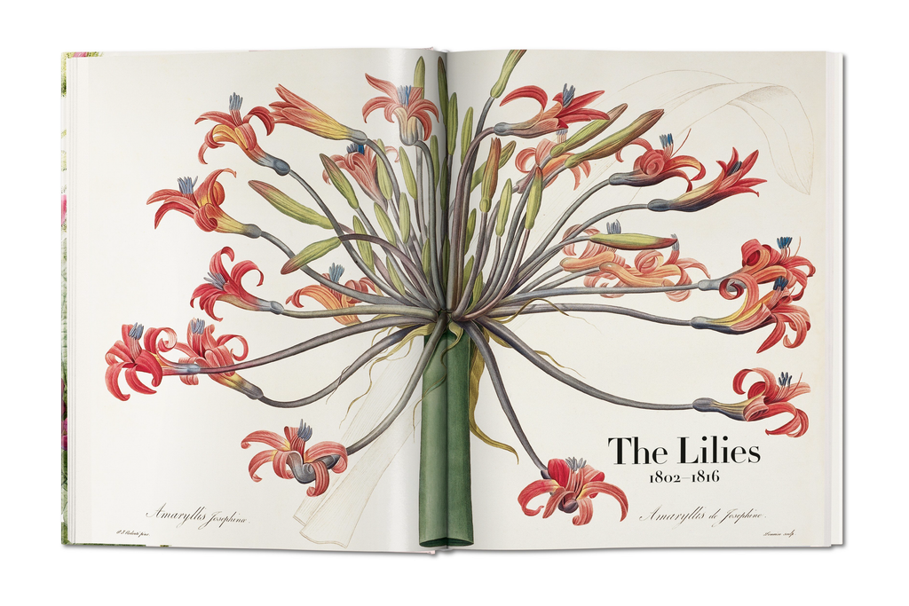 TASCHEN Redouté. The Book of Flowers